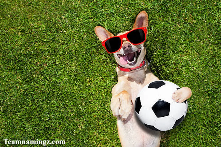 Funny Soccer Team Names